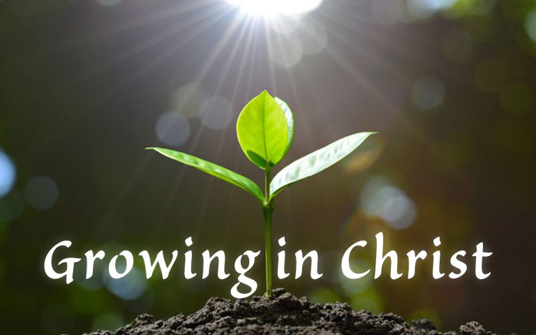 Growing in Christ Banner